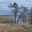 Субботник в Коми-деревне - Городской краеведческий музей