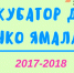За пять месяцев реализации проекта «Инкубатор для НКО Ямала» специалисты отработали порядка 120 обращений общественников - Администрация г. Лабытнанги