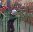 Нажмите для предварительного просмотра изображения - ЛабытнангиТВ