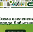 «Десятилетка озеленения»: лабытнангцы помогают профессиональным проектировщикам создать обновлённый зелёный облик города - Администрация г. Лабытнанги