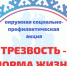 Трезвость — норма жизни. На Ямале проходит масштабная профилактическая акция - Администрация г. Лабытнанги