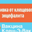 Нажмите для предварительного просмотра изображения - ЛабытнангиТВ