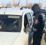 Нажмите для предварительного просмотра изображения - ЛабытнангиТВ