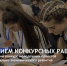 Стартовал Всероссийский конкурс молодежных проектов «Россия-2035»​ - Администрация г. Лабытнанги