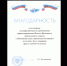 Ведомственный медаль по правам человека в РФ - Лабытнангская ГБ